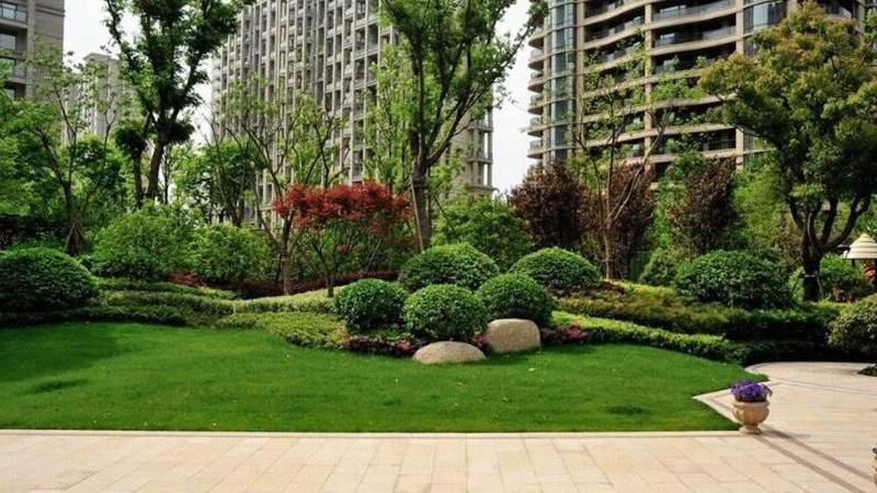 T1战队S16阵容会如何搭建,从合同窗口与青训体系看人员更替逻辑