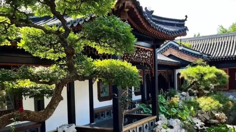 T1战队S16阵容怎么组成的,首发位置与轮换思路一次说清